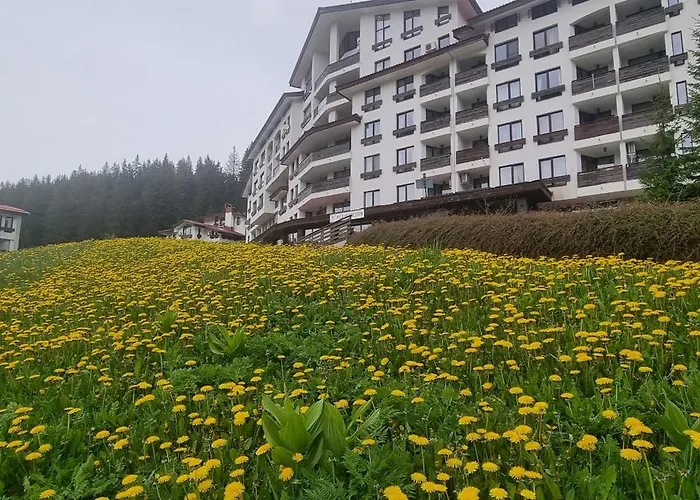 Daire Elit Pamporovo